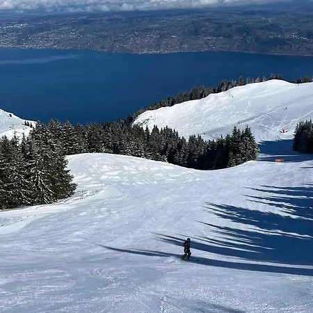 Duplex-chalet Entre Et Montagne Avec Balcon Lugrin